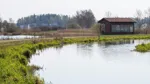 Ekeby våtmark