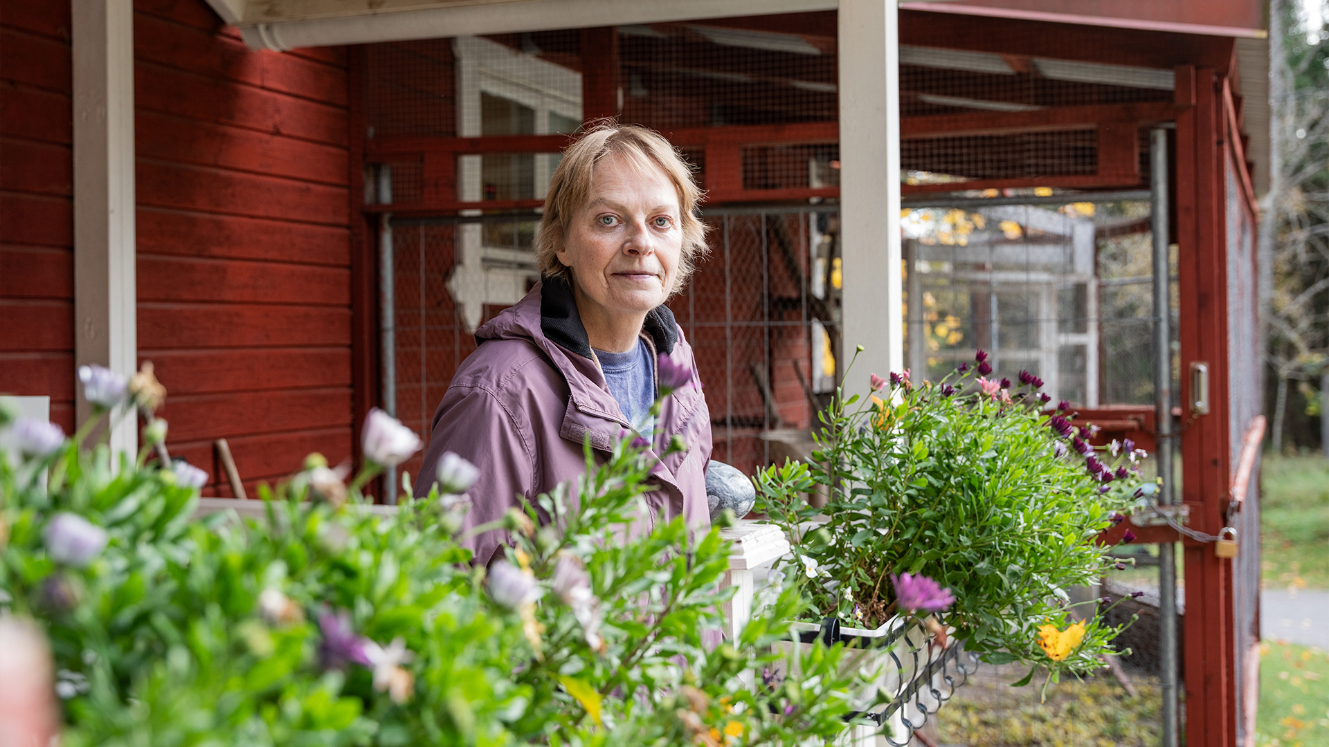 Marie-Louise Arnell står bland blommor utanför katthemmet i Kälby. Katthemmet är en röd träbyggnad med röda knutar.