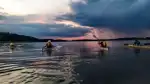 Fyra personer som paddlar kajak med Friluftsfrämjandet