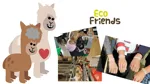Collage för projektet Eco Friends.