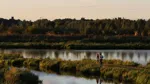 Ekeby Våtmark