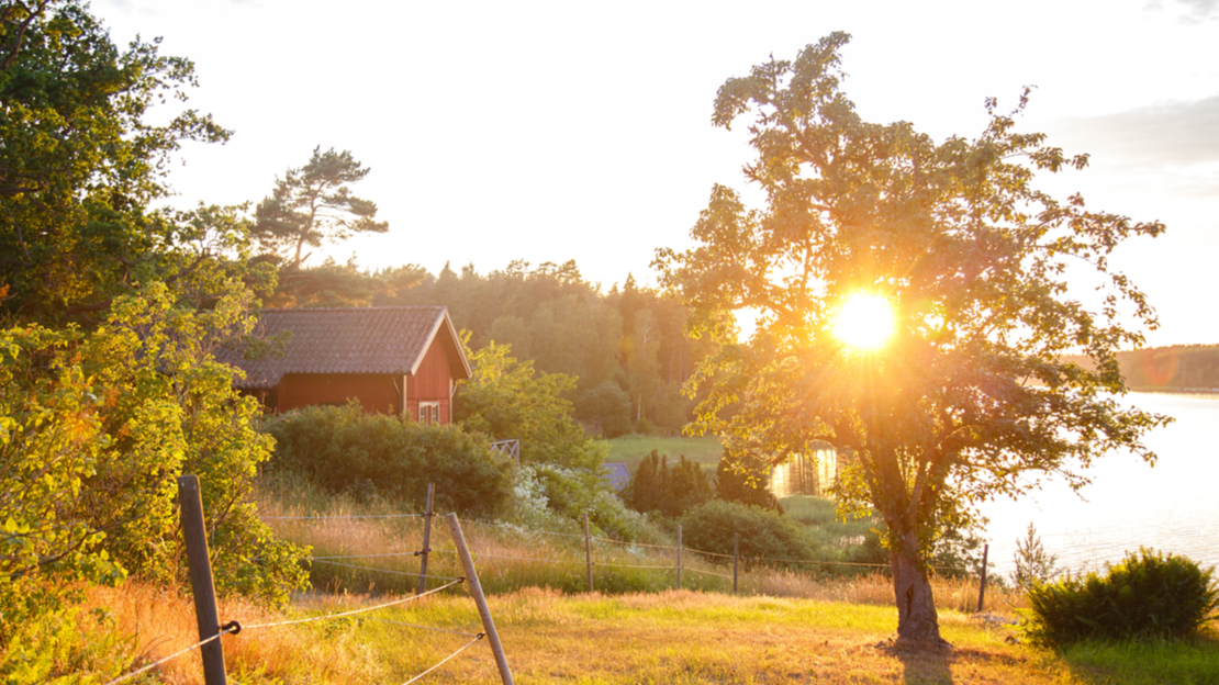 Sommarstuga i solnedgång med grönska och vatten.