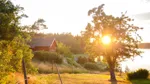 Sommarstuga i solnedgång med grönska och vatten.
