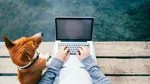 Person som sitter på en brygga med datorn och en hund bredvid sig.
