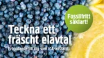 Bild på blåbär och citron i ett kampanjerbjudande för ICA-anställda