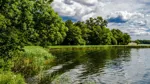 Natur vid sjö